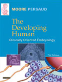 The Developing Human