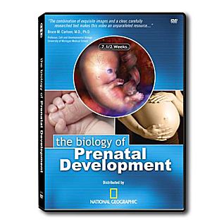 Biology of Prenatal Development