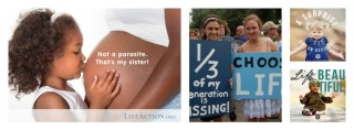 Californians for Life Collage in FB format parasite one third surprise life is beautiful